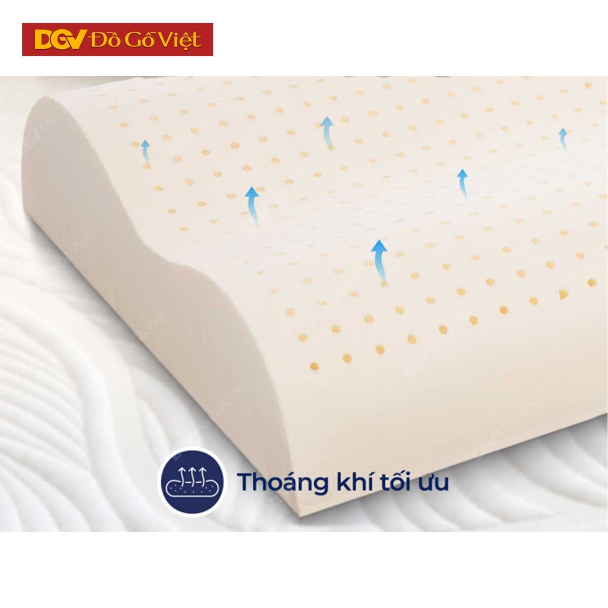 Gối Nằm Cao Su Liên Á Contour