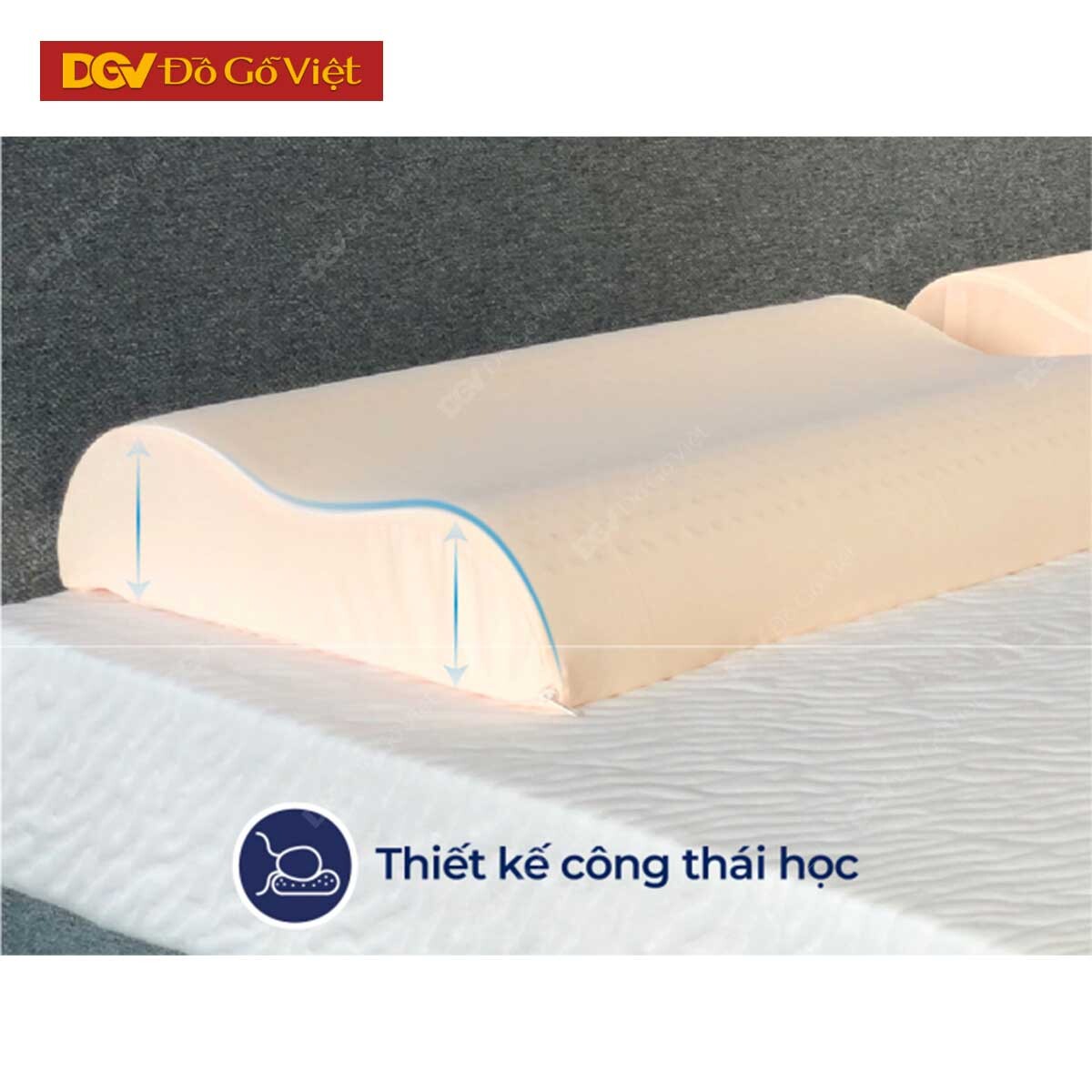 Gối Nằm Cao Su Liên Á Contour
